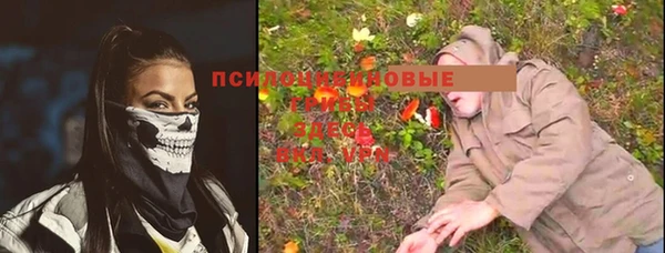 МДМА Богородицк